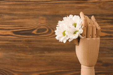 Wooden hand with chrysanthemum flowers on dark background, closeup