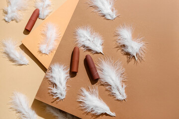 Lipsticks and beautiful feathers on color background