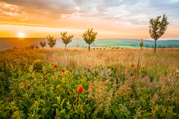 Moravian Tuscany is a popular name for the area near Kyjov in the South Moravian Region, which with its terrain waves resembles the landscape of Italian Tuscany