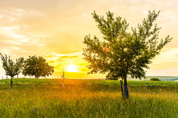 Moravian Tuscany is the folk name for the area near Kyjov in the South Moravian Region, which with its terrain waves resembles the landscape of Italian Tuscany.