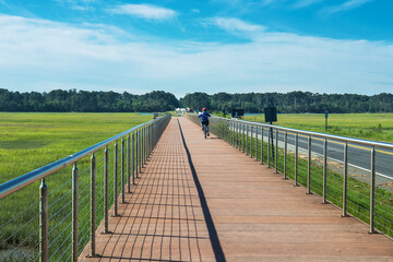 fenced bike path on Assateague Island National Park in Virginia.