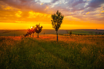 Moravian Tuscany is the folk name for the area near Kyjov in the South Moravian Region, which with its terrain waves resembles the landscape of Italian Tuscany.