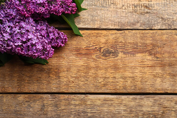 Purple lilac flowers on wooden background