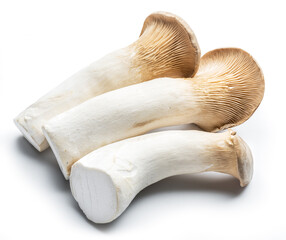 Fototapeta premium King oyster mushrooms on the white background.