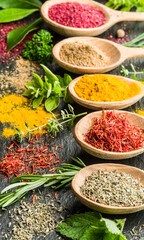 Assortment of colorful spices in the wooden spoons.