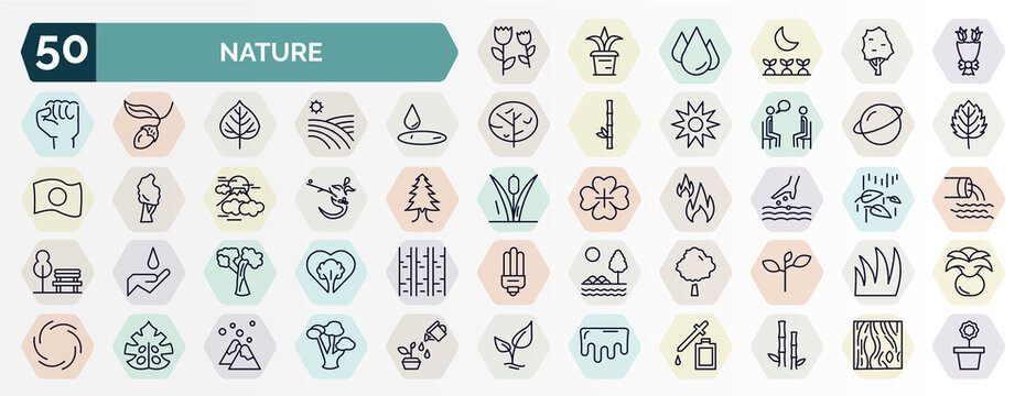 set of nature web icons in outline style. thin line icons such as pair of flowers, flower bouquet, wate, saturn with his ring, ikebana flowers, sow, silver maple tree, basswood tree, fern, melting