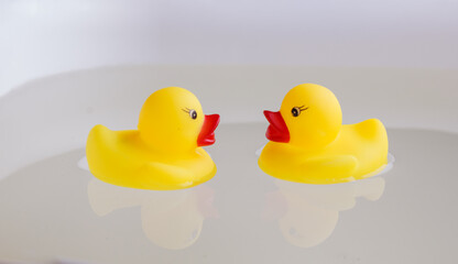 relaxing in the bathroom. two rubber ducks for swimming in the water.