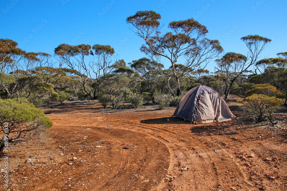 Poster Australian bush on the Nullarbor Plain