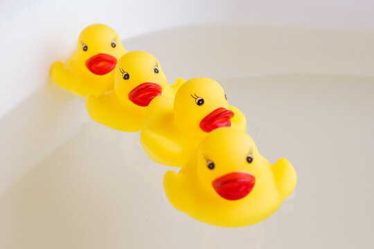 rubber ducks swim one after another in the water.