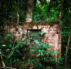 ruins of an old house