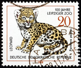 Postage stamp Germany 1978 leopard cub, young animal