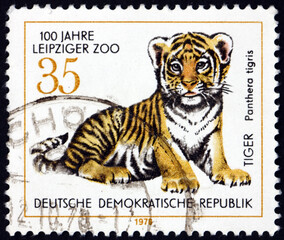 Postage stamp Germany 1978 tiger cub, young animal