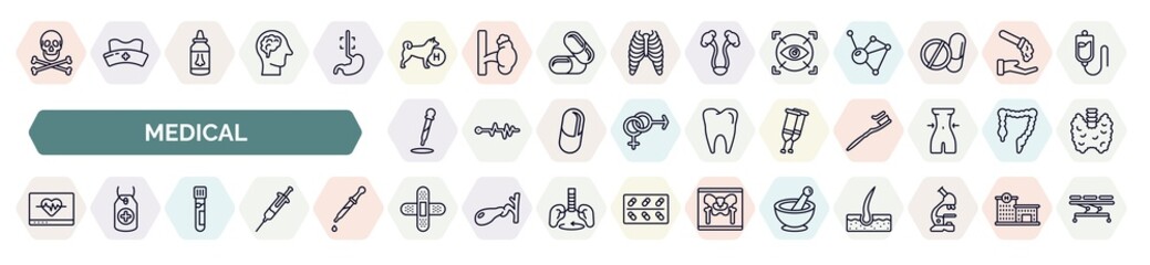 set of medical icons in outline style. thin line icons such as skull and bone, canine, eye scanner medical, dosage medical tool, crutches couple, heart rate monitor, blood analysis, plastering,