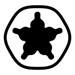 Wave Star Abstract Flat Icon Isolated On White Background