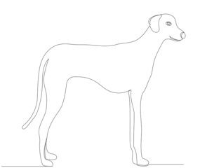 Fototapeta premium dog drawing by one continuous line