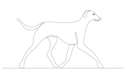 dog drawing by one continuous line, sketch, vector