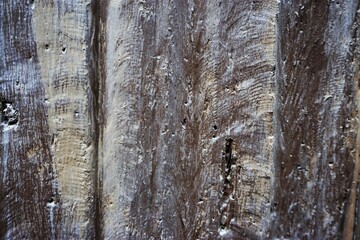 Obraz premium Braune alte verwitterte Holzfläche mit Muster