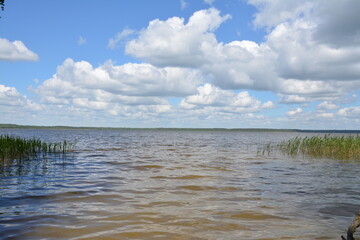 one of the summer days