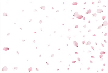 Cherry petals backdrop. Sakura petals background.