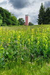 Auf dem Raichberg bei Albstadt-Onstmettingen, im Vordergrund gelber Enzian. (Zollernalbkreis,...
