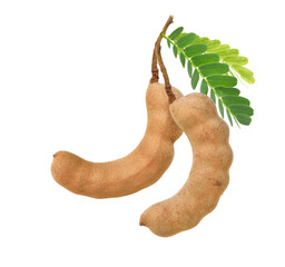 Fototapeta premium Sweet tamarind fruits with green leaves isolated on white background.