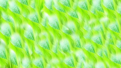 green leaf  background