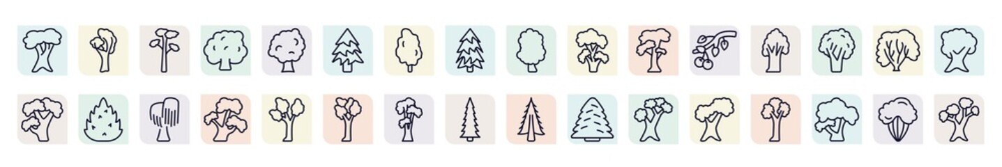 set of nature icons in outline style. thin line icons such as white oak tree, pitch pine tree, balsam fir tree, black locust american chestnut eastern redcedar bitternut hickory shagbark hickory - obrazy, fototapety, plakaty
