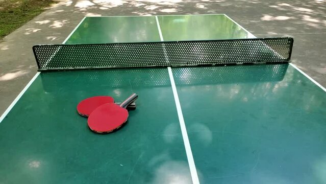 Ping pong table, rackets and ball motion