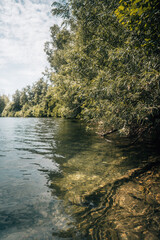 Klares Wasser an einem See im Sommer
