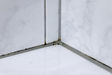 Mould in a bathroom