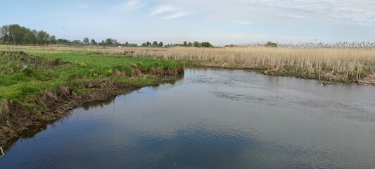 Beautiful landscape on the lake and reeds. Great view of nature, quiet romantic place.
