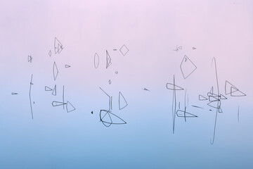 Landscape at dawn of reeds and reflections, Moccasin Lake, Hiawatha National Forest, Michigan's Upper Peninsula, USA