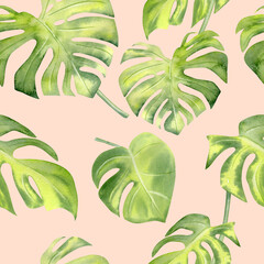 Watercolor tropical leaves monstera seamless pattern.