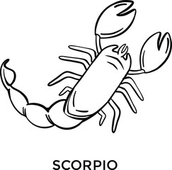 hand drawn astrological zodiac sign scorpio