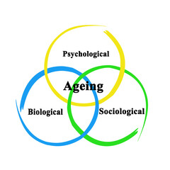 Three facets of ageing