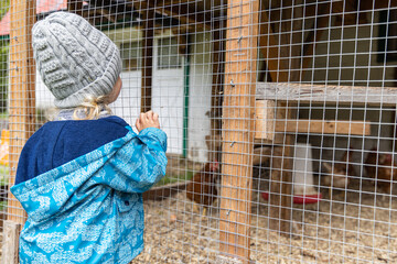 An inquisitive child wearing grey hat is seen from the back, looking through the mesh of a chicken...