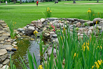 Foliage springs to life on a backyard water feature, a golf course is the backdrop to this homeowner's lot.