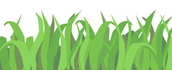Grass border, line. Isolated vector on white background