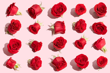 Neatly arranged pattern made of red roses on pastel pink background. Creative layout, minimal...