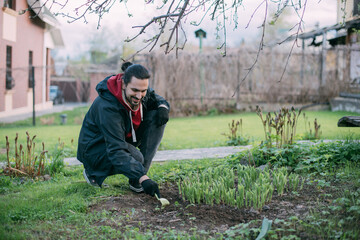 A young man takes care of the sprouts of a flower in a flower bed in the garden in spring.