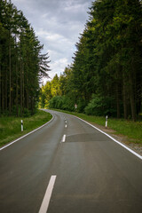 Fototapeta na wymiar Empty road in forest Traben-Trarbach (Germany)