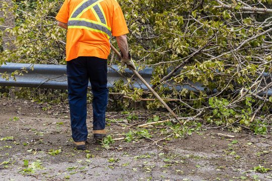 A road worker is seen from rear wearing high visibility clothing, using rake to clear the highway of tree branches after high winds cause obstruction.