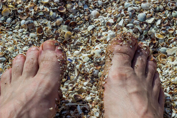 male feet covered with small seashells parts on the beach