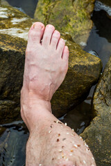 a male feet with small seashells parts on the stone in the sea water