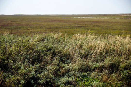 a Syvash landscape