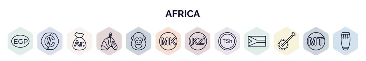 set of africa web icons in outline style. thin line icons such as egyptian pound, cedi, malagasy ariary, zebra, gorilla, malawian kwacha, angolan kwanza, tanzanian shilling, banjo icon. - obrazy, fototapety, plakaty