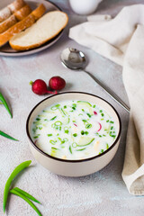 Ready to eat traditional Russian cold soup in a bowl. Homemade food. Vertical view