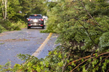 Selective focus shot of tree debris obstructing the highway after strong winds bring damage to...