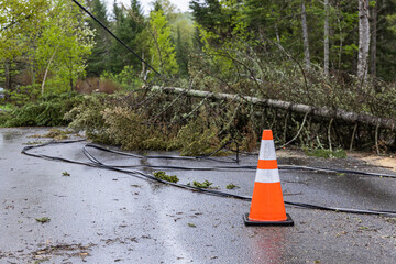 Seasonal storms hit rural village of Val David, Quebec, Canada. Causing road closures as power lines are taken down by severed trees. With copy space. - obrazy, fototapety, plakaty
