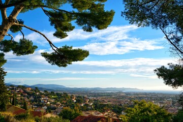 Fototapeta na wymiar trees in the mountains in Mediterranean , France 